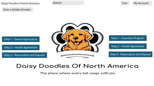Litter 1 - Female Golden Doodle - Guardian Puppy One