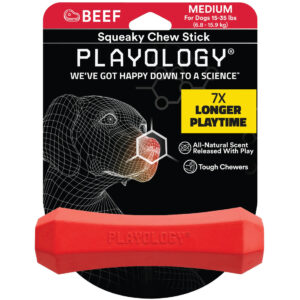 Playology Squeaky Chew Stick Dog Toy, Beef, Medium