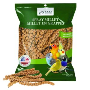 Living World Spray Millet, 17.5 Ounces