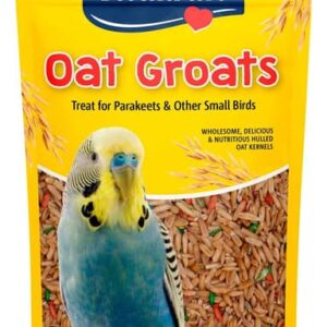 Vitakraft Oat Groats Treat For Parakeets & Other Small Birds, 8 Ounces