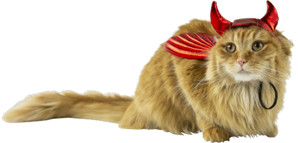 Play On Halloween Dog/Cat Costume, Devil Set, Extra-Large/Extra Extra-Large