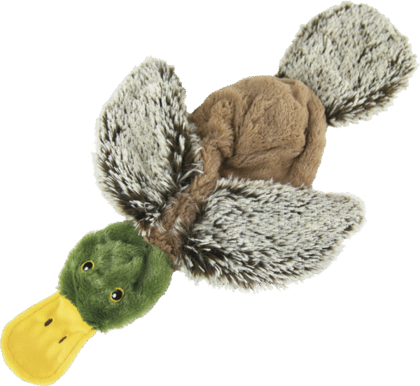Play On Flattie Mallard Dog Toy, Large