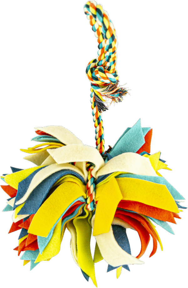 Play On Dog Toy Fleece Rope Tassle