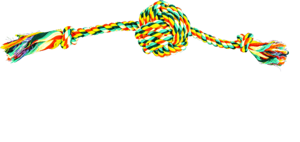 Play On Dog Toy Rope 3 Knot