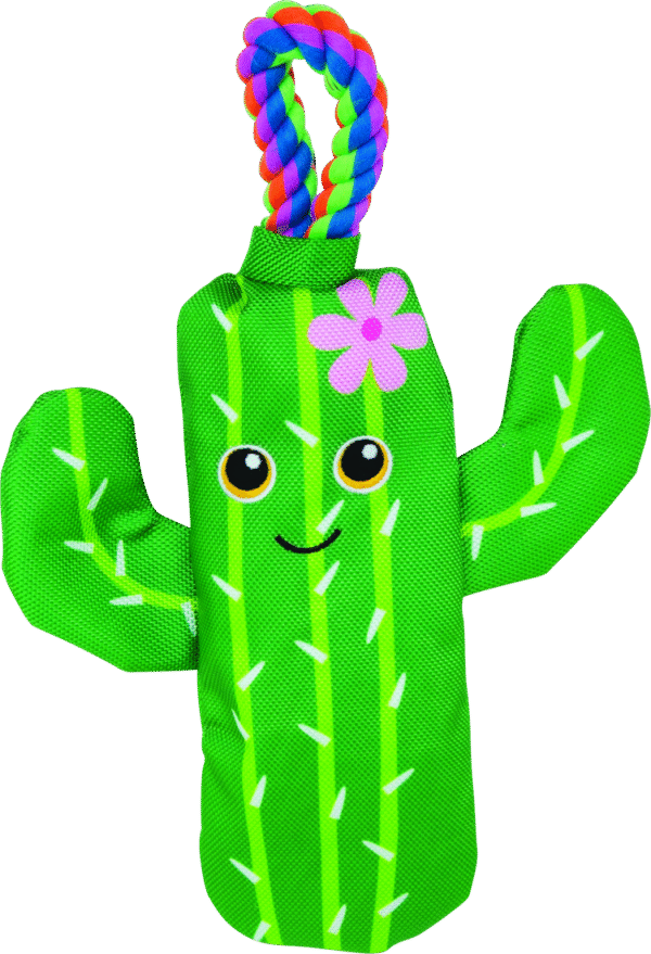 Play On Dog Toy Tough Cactus with Rope