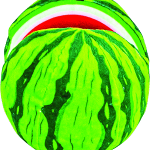Play On Dog Toy Plush Watermelon with Tennis Ball
