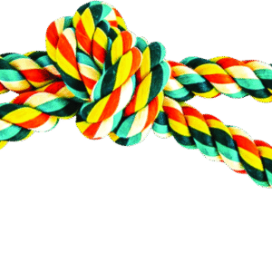 Play On Dog Toy Wishbone Rope with 2 Tennis Balls